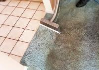 Carpet Mould Damage Removal Brisbane image 4